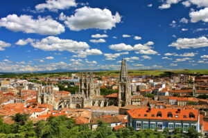 Lee más sobre el artículo BURGOS